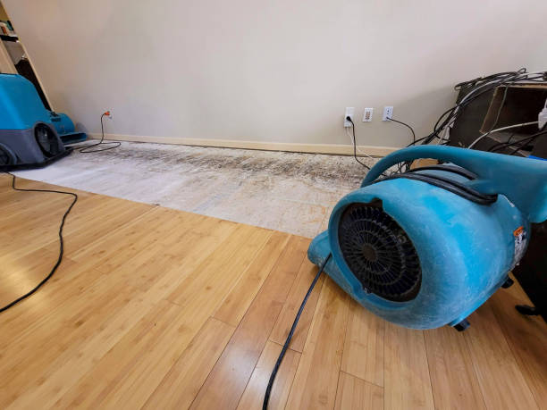 Reliable Burst Pipe Water Damage contractor in Delhi, LA by Hirex Water Damage