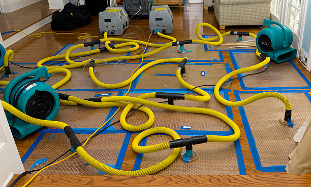 Professional Burst Pipe Water Damage technician working in Delhi, LA
